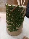 Farn.webp