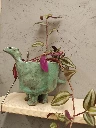 Dino.webp